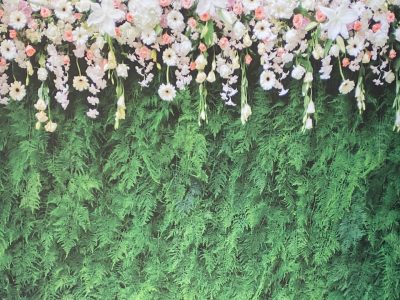 Photo Booth Selfie Booth Picture Backdrop for Trade Show Prom Birthday Party Rental Cincinnati Ohio