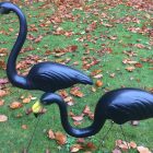 Black Plastic 3d flamingo rental flock a yard rental cincinnati ohio