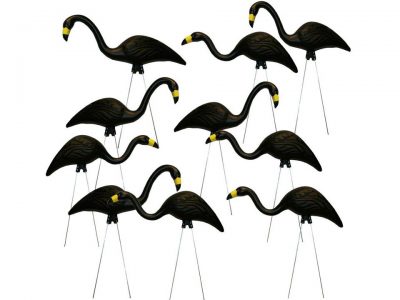 Black Plastic 3d flamingo rental flock a yard rental cincinnati ohio