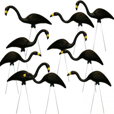 Black Plastic 3d flamingo rental flock a yard rental cincinnati ohio