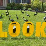 Black Plastic 3d flamingo rental flock a yard rental cincinnati ohio