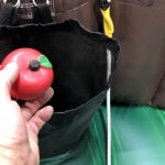 Bobbing for Apples - Interactive Bungee Inflatable Rental Cincinnati, Ohio