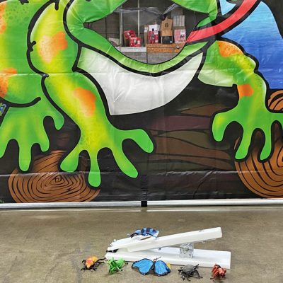 Carnival Froggy Fly Fling Bugs Frame Game Rental Cincinnati Ohio