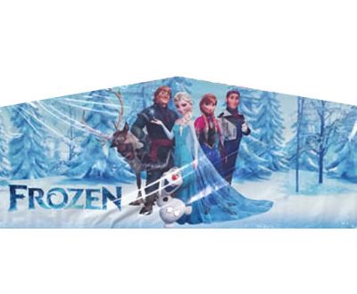 Elsa Frozen Playhouse Inflatable Castle Bounce House and Slide Combo Rental Cincinnati Ohio