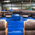 Inflatable Mechanical Redneck Log Slammer Wipeout Meltdown Rental Cincinnati Ohio