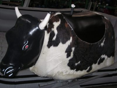 Mechanical Bull Rental with Inflatable Cincinnati, Ohio