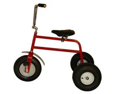 Wacky trikes teen and adult tricycle rental Cincinnati Ohio