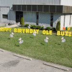 Ole Buzzard Birthday Yard Cards & Signs Rentals Cincinnati Ohio