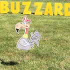 Ole Buzzard Birthday Yard Cards & Signs Rentals Cincinnati Ohio