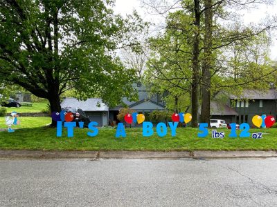 It's a boy stork birth announcement Yard Cards & Signs Rentals Cincinnati Ohio