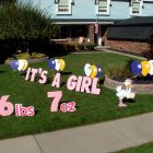 It's a Girl Stork Birth Announcement Yard Cards & Signs Rentals Cincinnati Ohio