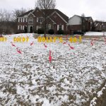 Pink Plastic 3d flamingo rental flock a yard rental cincinnati ohio